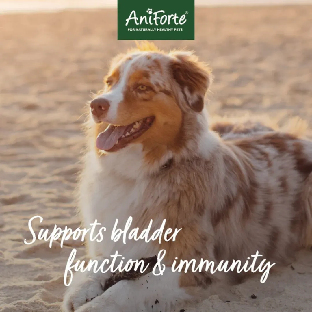 AniForte Bladder Formula Powder