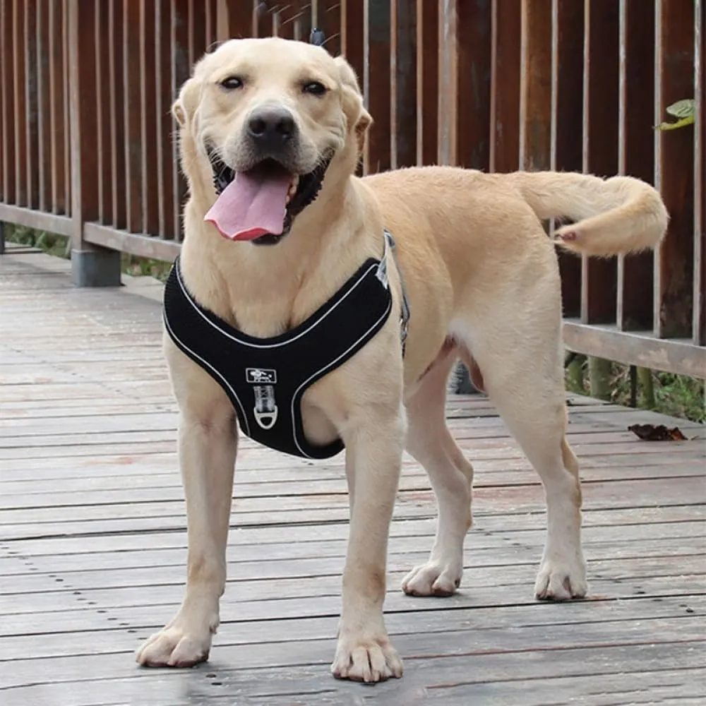 Breathable Mesh Dog Harness with Chest Strap