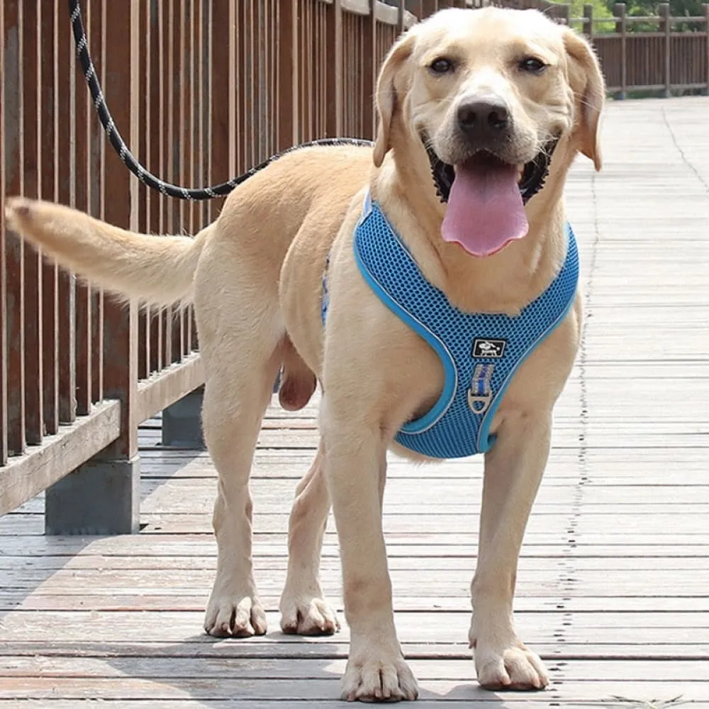 Breathable Mesh Dog Harness with Chest Strap