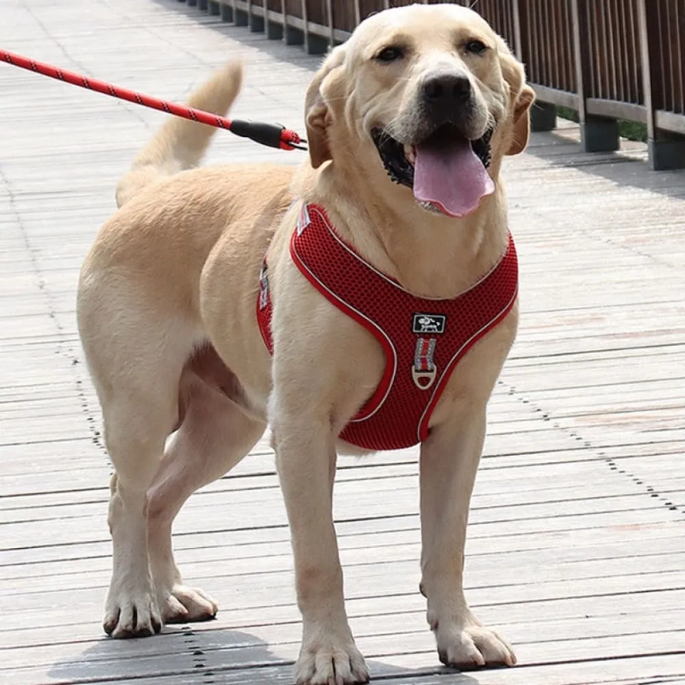 Breathable Mesh Dog Harness with Chest Strap