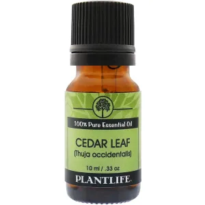 Cedar Leaf Essential Oil