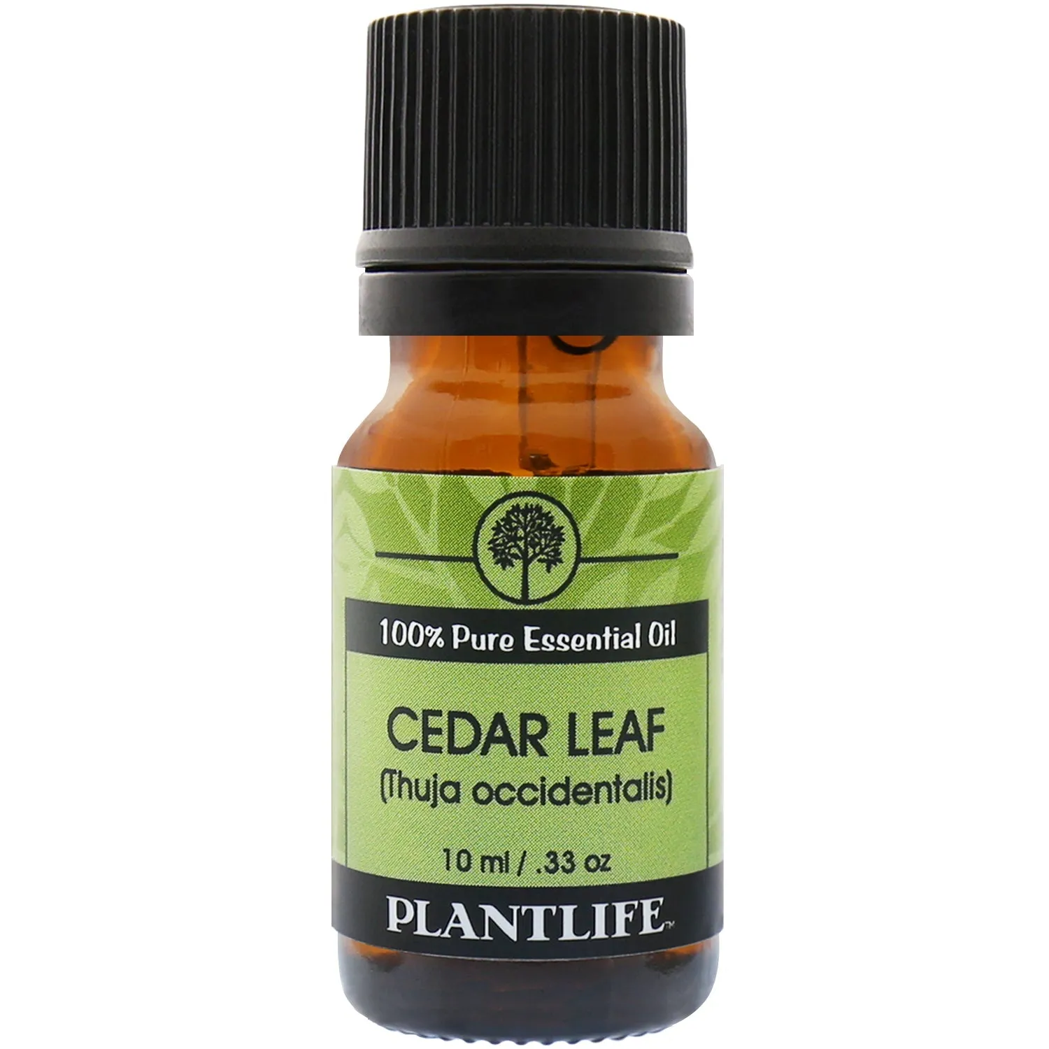 Cedar Leaf Essential Oil