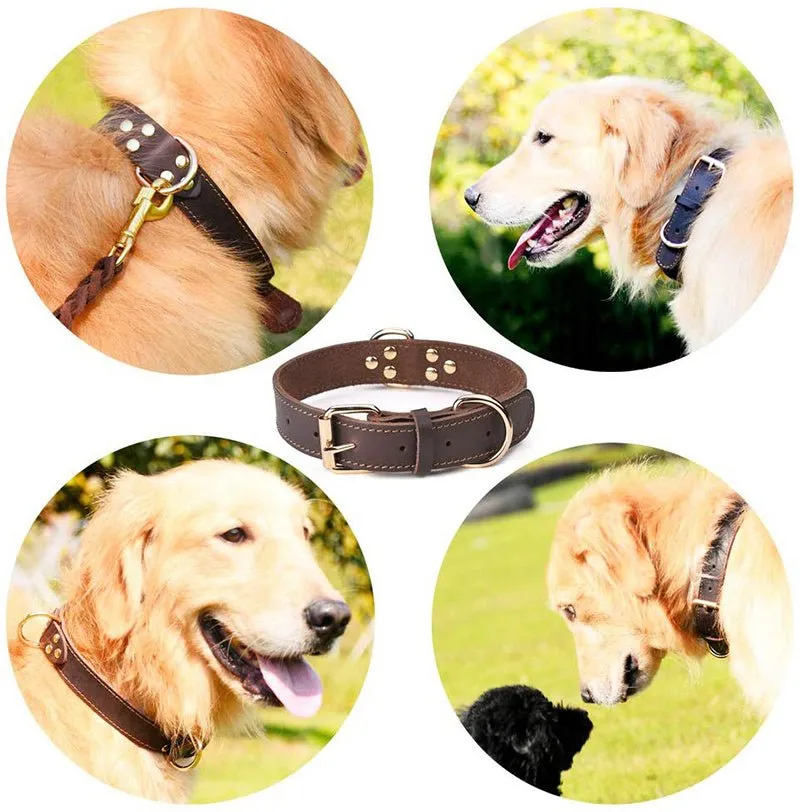 Cowhide dog collar-Two colours