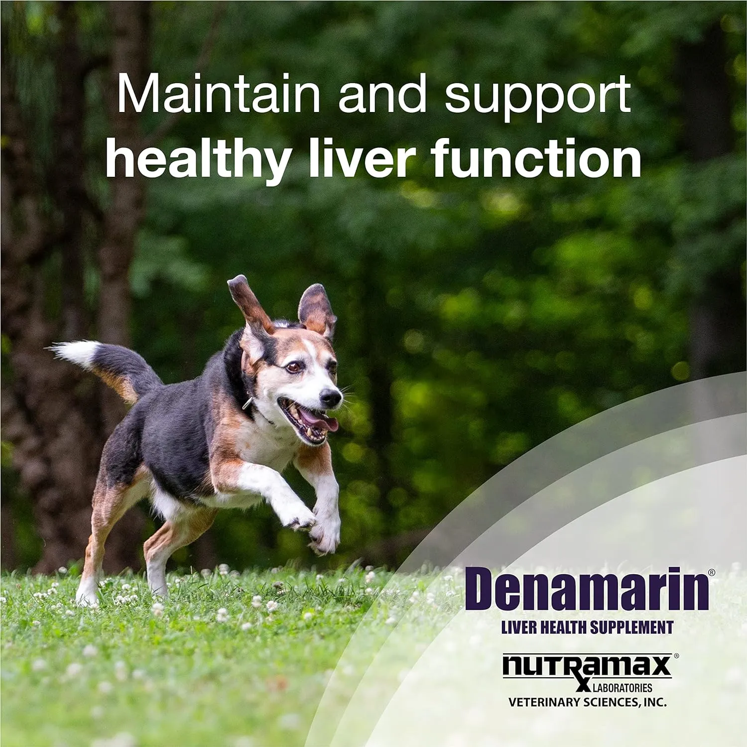 Denamarin Liver Health Stabilized Tablets