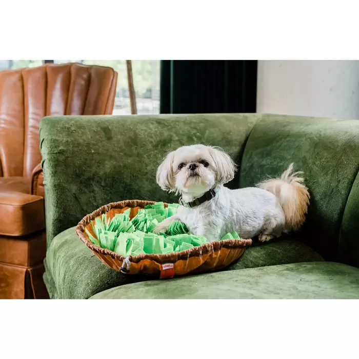 Injoya Salad Bowl Snuffle Mat