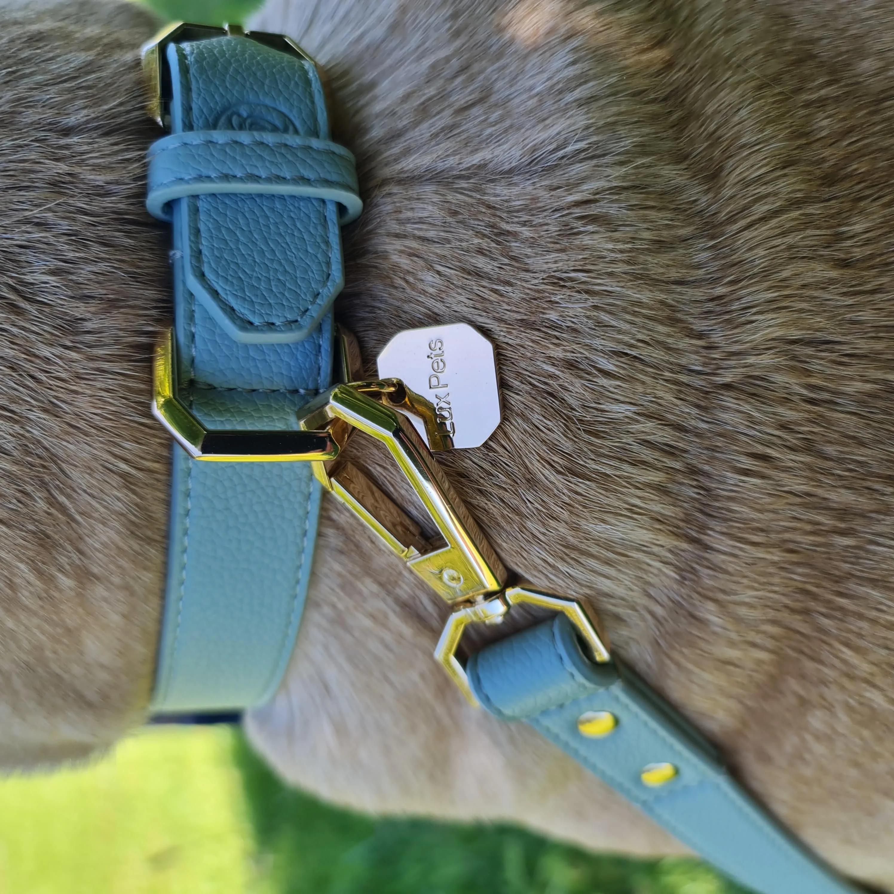 Leather Dog Collar - Sage