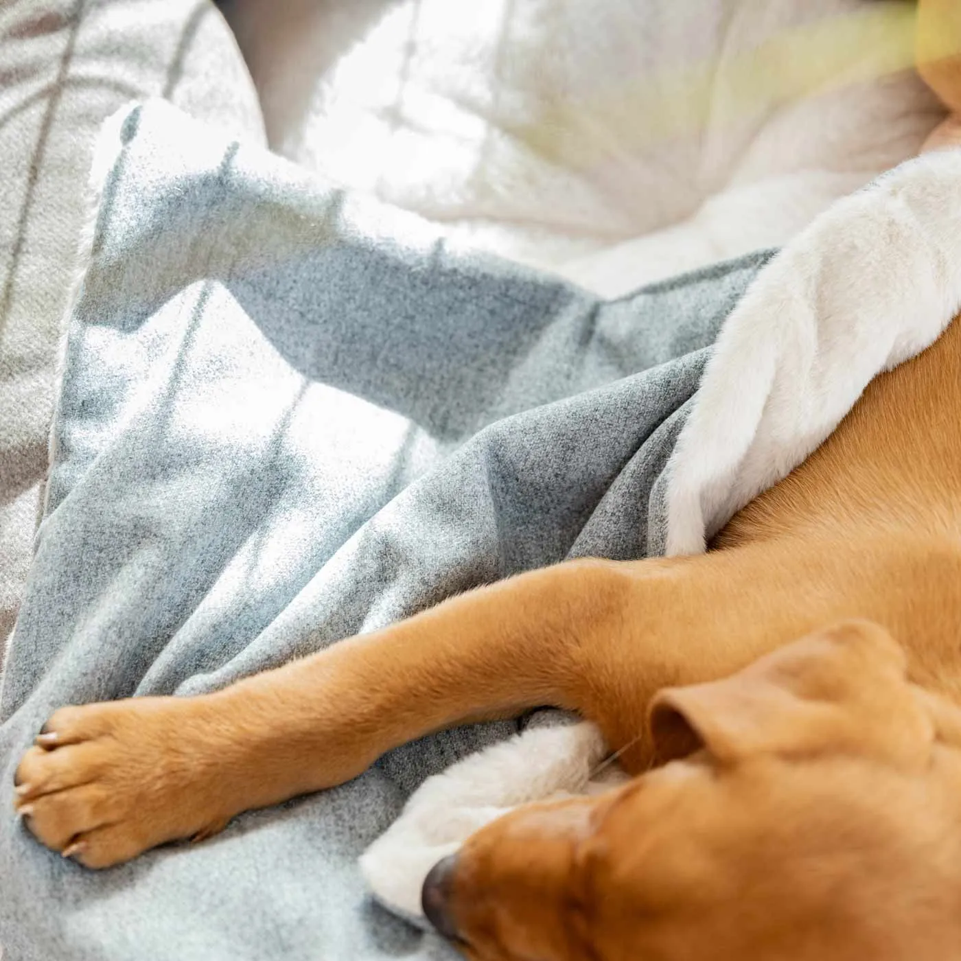 Puppy Scent Blanket in Inchmurrin Iceberg by Lords & Labradors