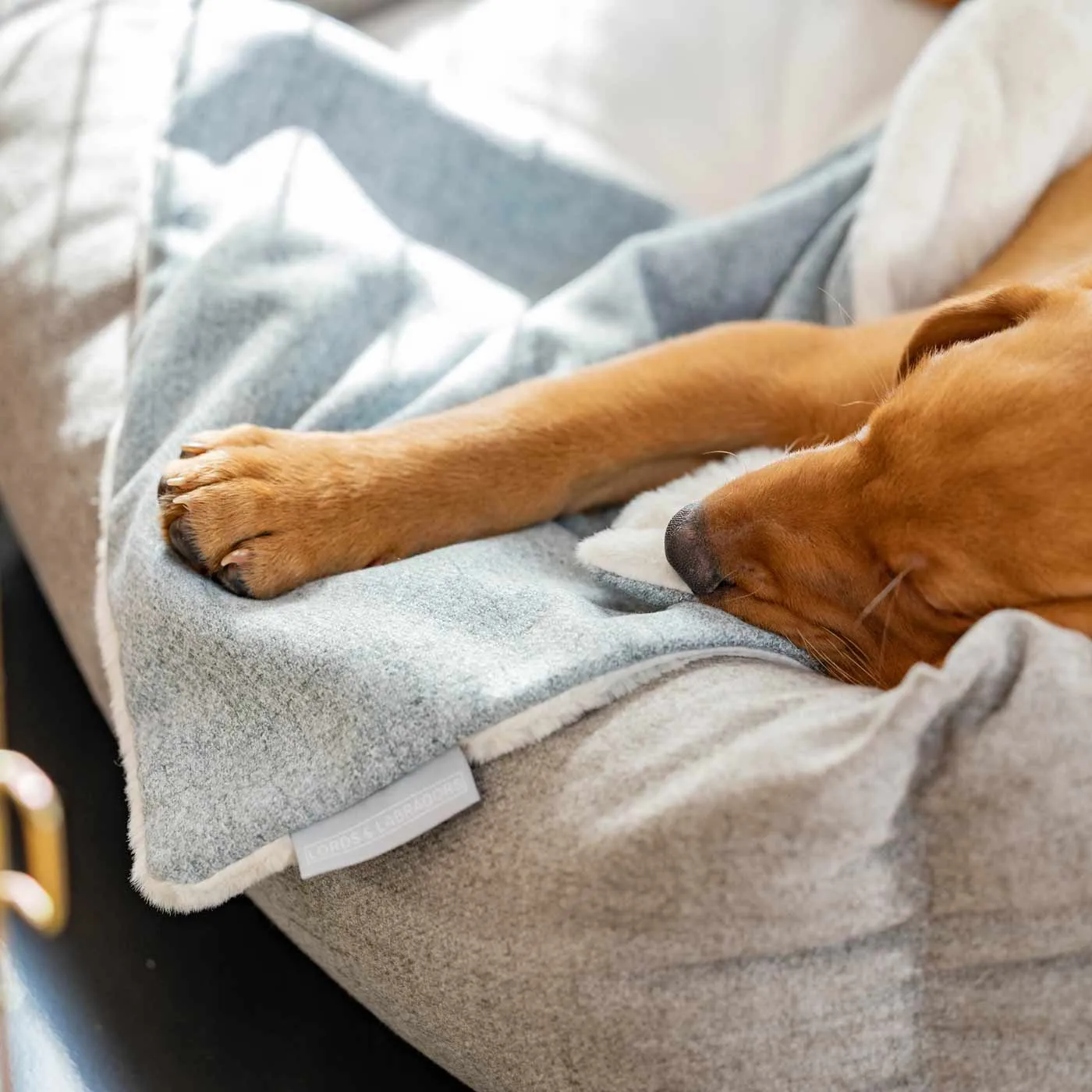 Puppy Scent Blanket in Inchmurrin Iceberg by Lords & Labradors