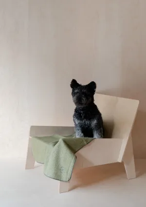 Recycled Wool Small Pet Blanket in Olive Herringbone
