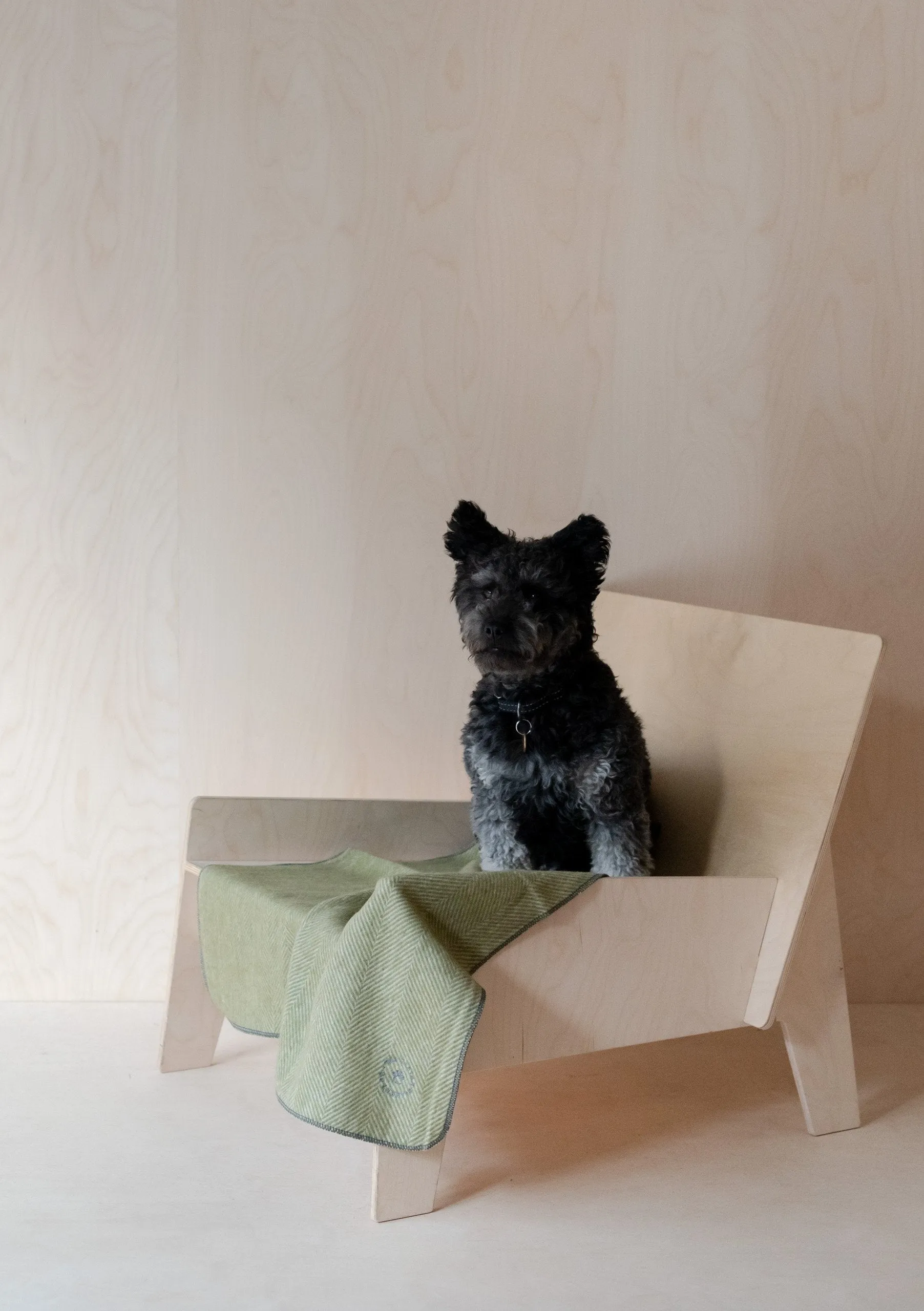 Recycled Wool Small Pet Blanket in Olive Herringbone