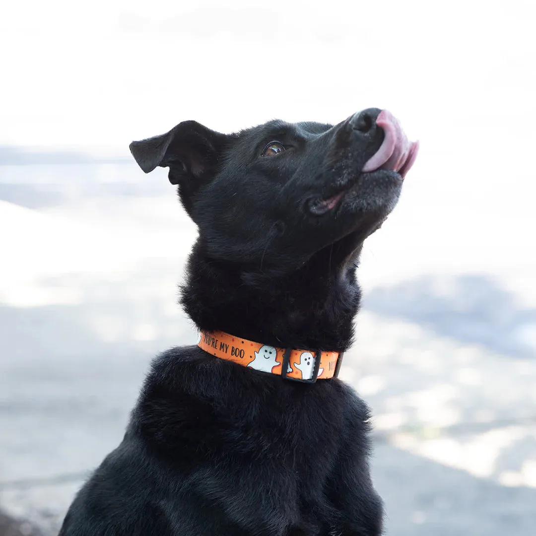 Sport Collar | You're My Boo Print