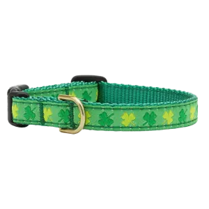 Teacup Collar | Shamrock